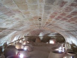 Museo Casa Pintada 2004